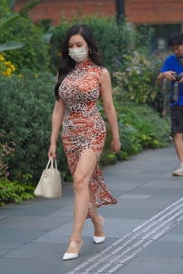 【精选街拍】Vol.2830 复古风修身长裙 [95P-1.23GB]